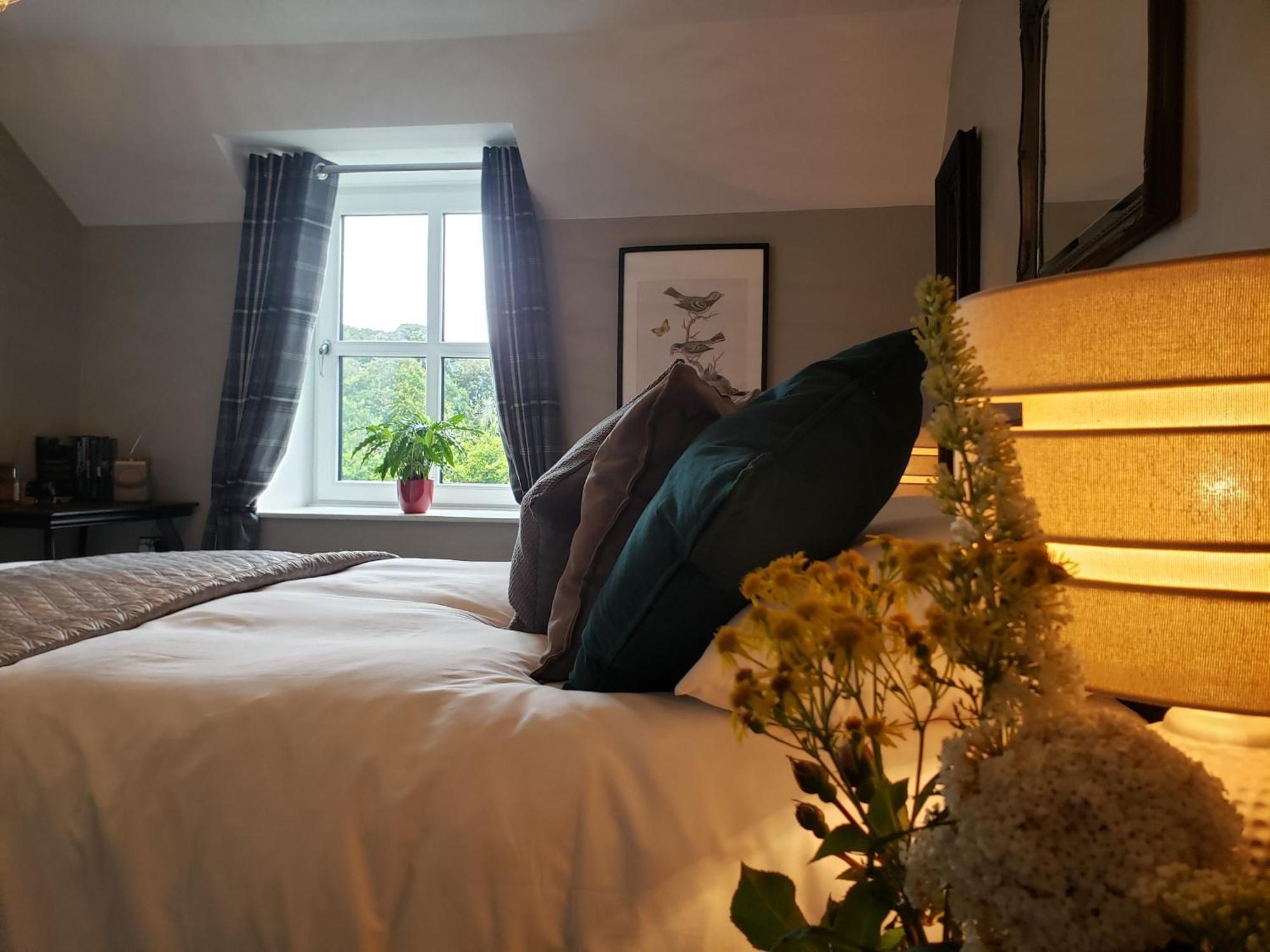 Bryansford Cottage Eksteriør billede